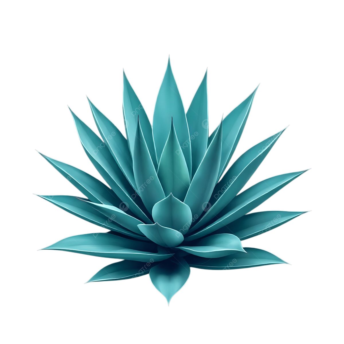 Carmel Sisal Farm Limited
